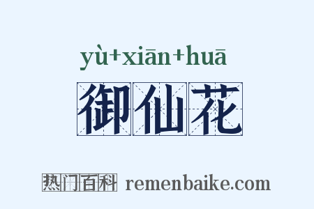 御仙花是什么意思的图片